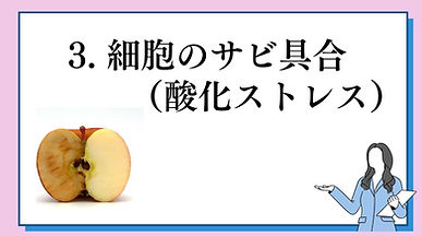 3細胞の錆具合.jpg
