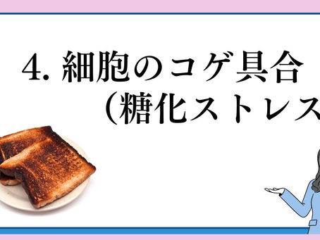 『10』の4 細胞のコゲ具合