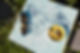 EC4A0528.jpg