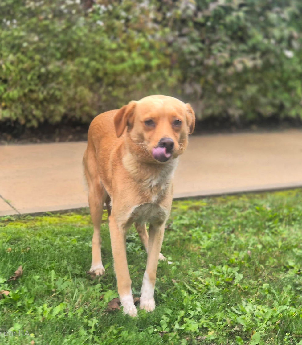 476837509_638165578741183_32050717445841