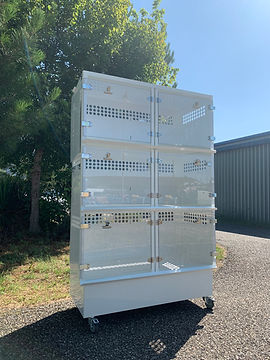 Module pour chats CTAI - 1