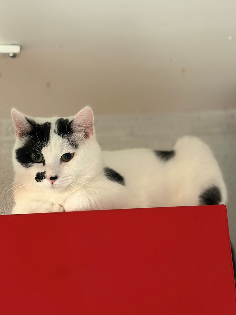 476837509_638165578741183_32050717445841