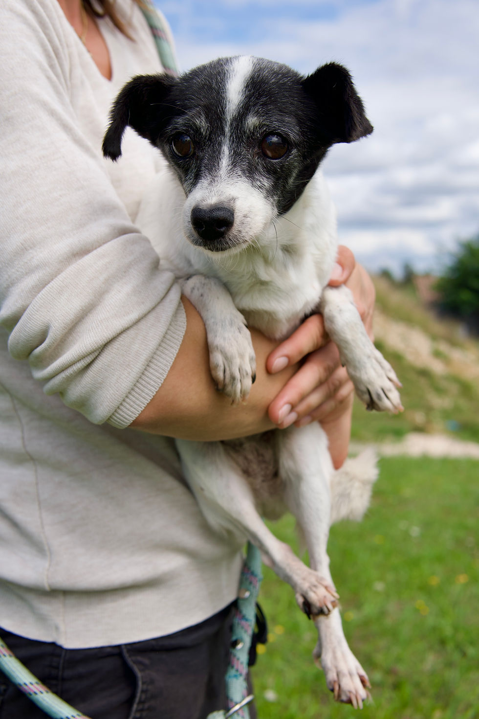 476837509_638165578741183_32050717445841