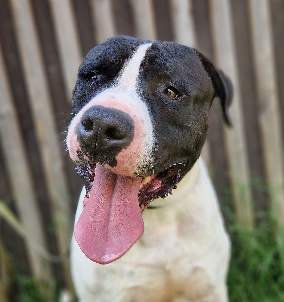 476837509_638165578741183_32050717445841