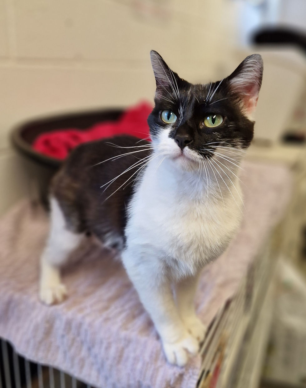 476837509_638165578741183_32050717445841