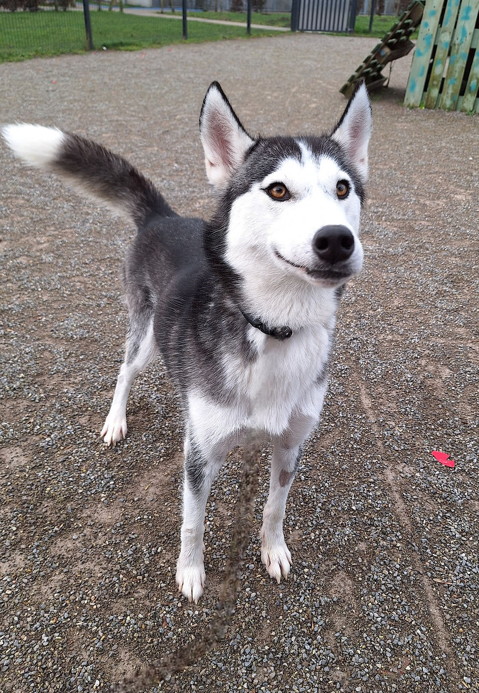 476837509_638165578741183_32050717445841