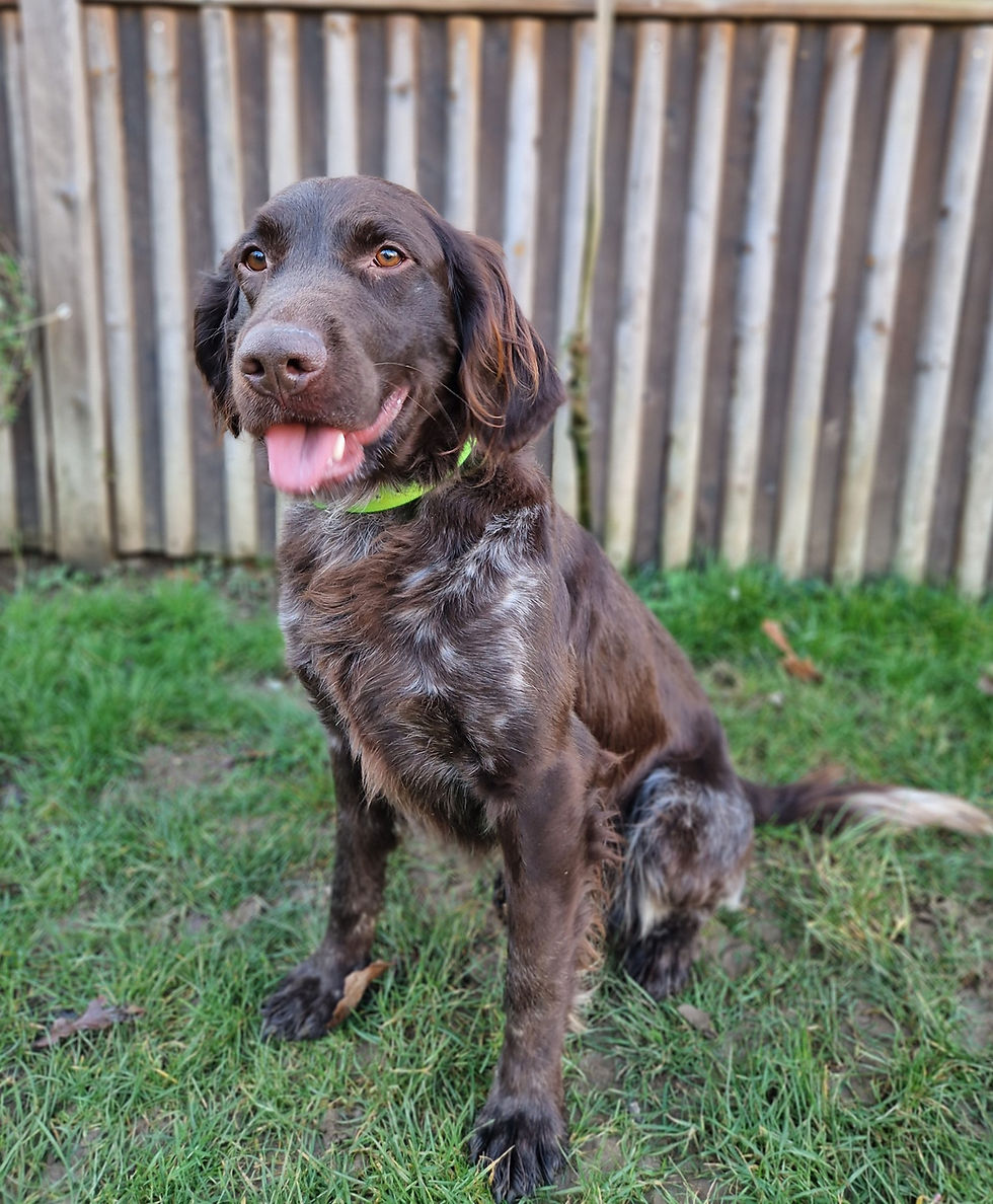 476837509_638165578741183_32050717445841