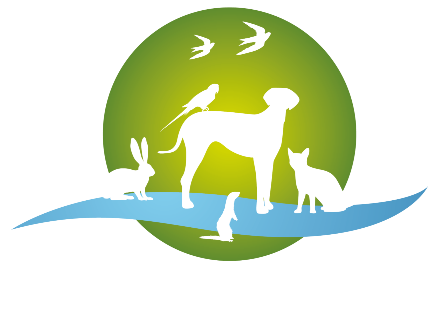 Logo Clara - texte blanc 2.png