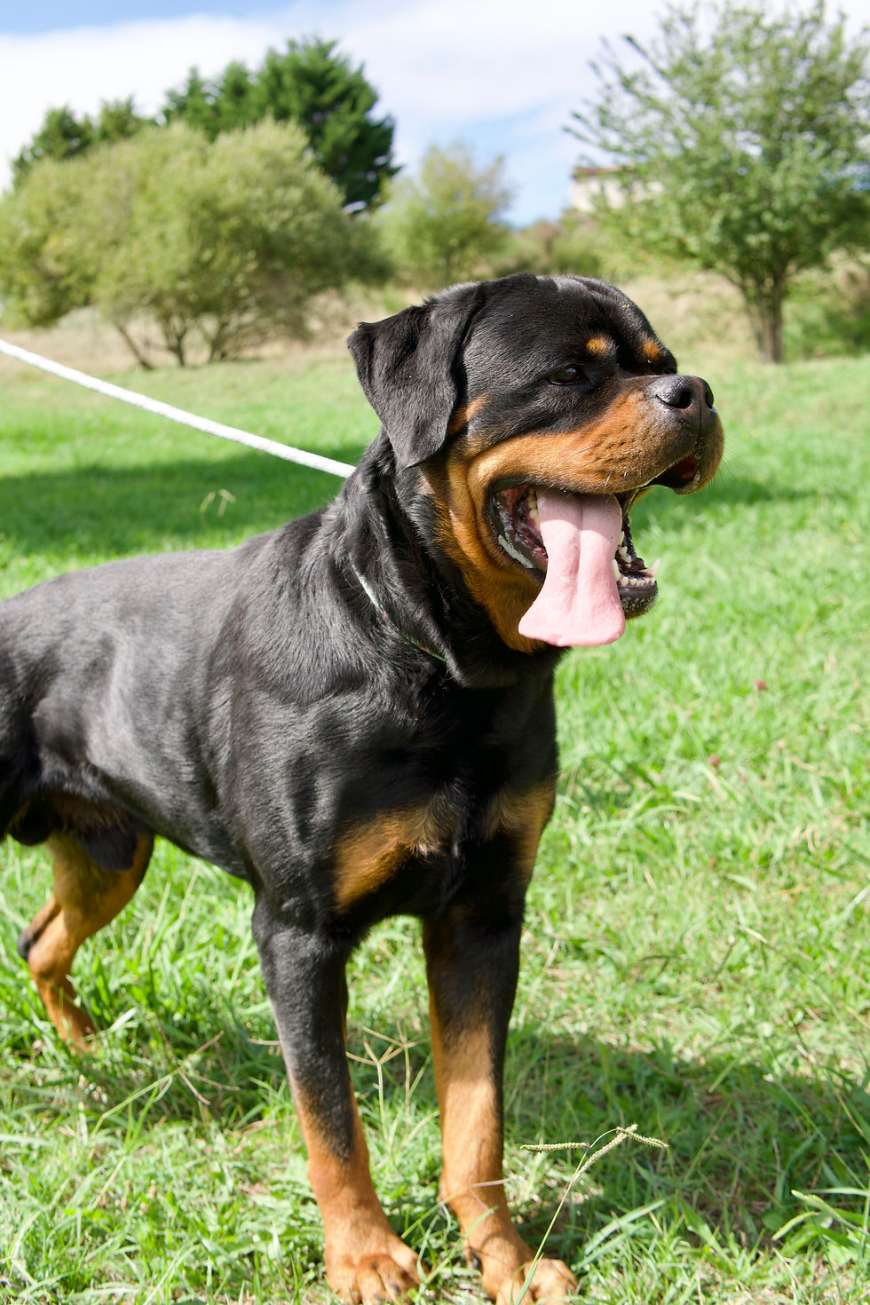 476837509_638165578741183_32050717445841