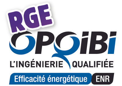 OPQIBI_RGE.jpg