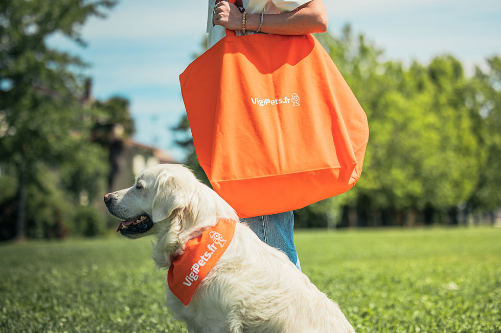 Miniature : Grand sac coton - Orange