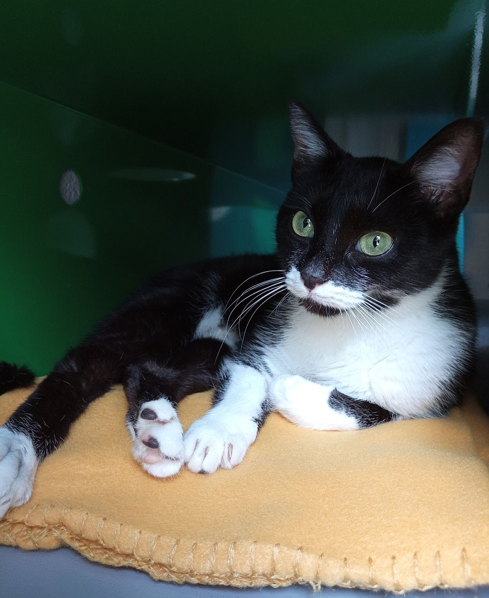 476837509_638165578741183_32050717445841