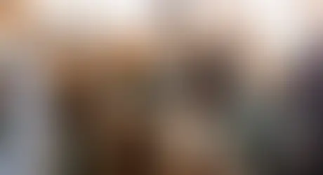 Artikel 1: 'Vlaams onderwijs levert te weinig meertalige professionals af'