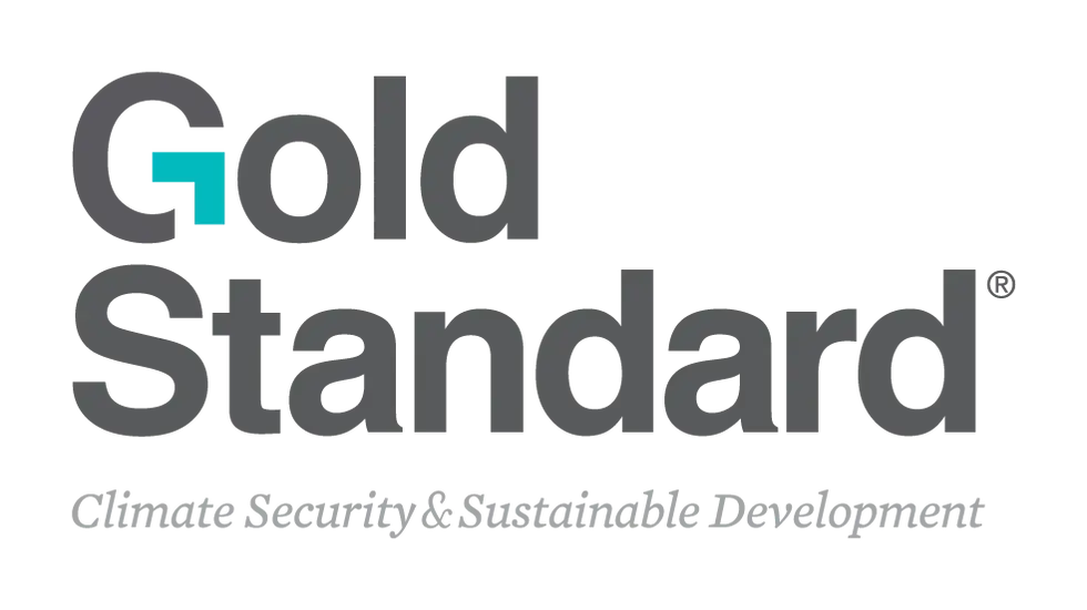 Gold Standard.webp