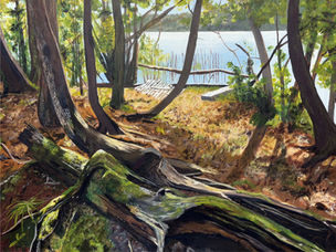 Portraying a canoe launch nestled within the woods, this painting makes you feel like you can hear the ripple of the shore, the birds chirping about, minding their business. The trees, some fallen, are quiet in the autumn light.