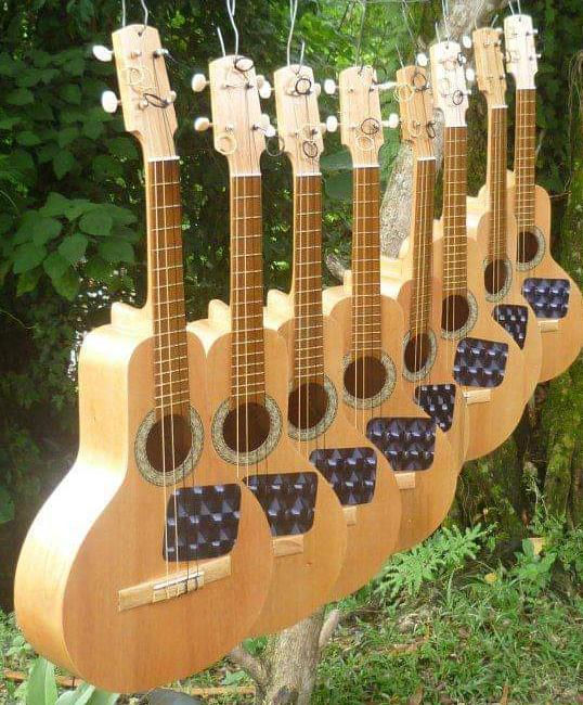 Miniatura: BANDOLA LLANERA