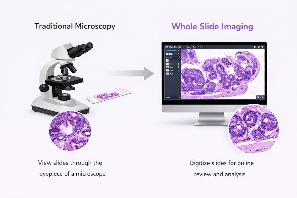 Slide Scanning Rig What Is Whole Slide Imaging? A Guide to Whole Slide Scanning for Research