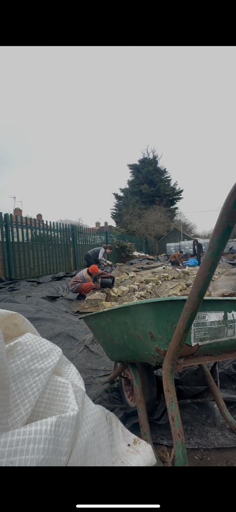 Two women filling the pond with gravel collected in a wheelbarrow.