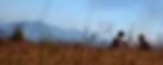 Day dreamers Header.jpg