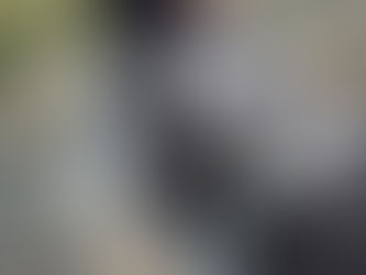 The Melancholy Steps