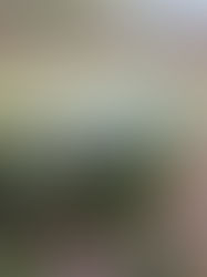 Can't uncrack an egg