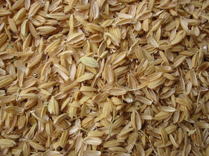 Produce Carbonized Rice Hulls With Charcoal Machines
