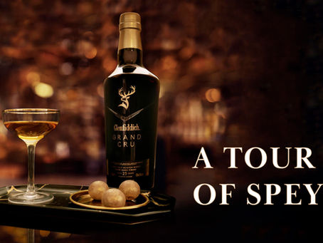 A TOUR OF SPEYSIDE WHISKY TASTING :Glenfiddich Distillery Tasting