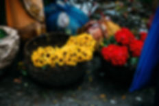 FlowerMarketKolkata.jpeg