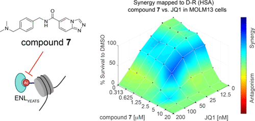 Discovery of Selective Small-Molecule Inhibitors for the ENL YEATS Domain