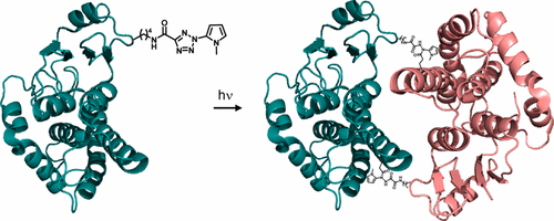 jacs-2017_139_6078