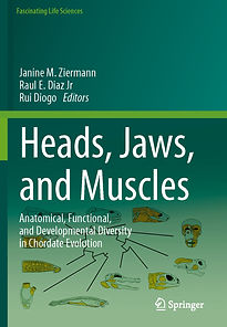 2019_Book_HeadsJawsAndMuscles (1)_Page_0