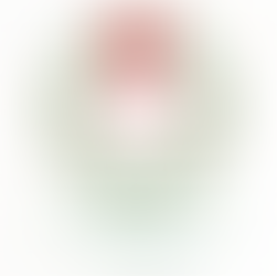 23. November -Adventsausstellung🌲🕯