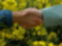 Foto handddruk website.jpeg