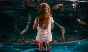 Aquarium Day 2-1.jpg