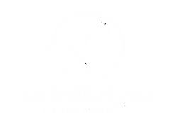 LOGO MISNEBALAM.png