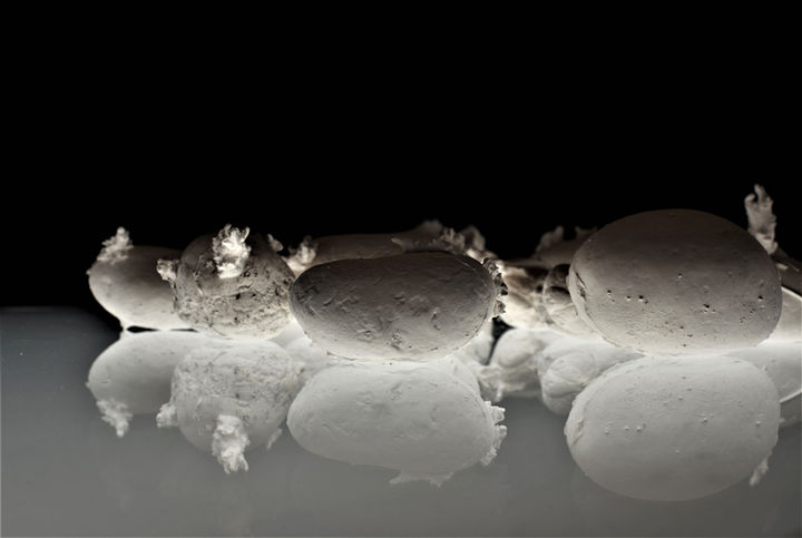 A Bag of Old Potatoes, Degree Show, 2021.