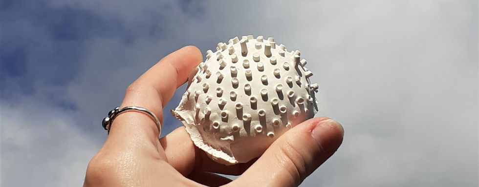 Spicule, 2022, plaster of Paris.