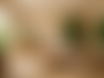 Eco-Friendly Plywood for Indian Homes: The Rise of Termite-Proof PVC Boards