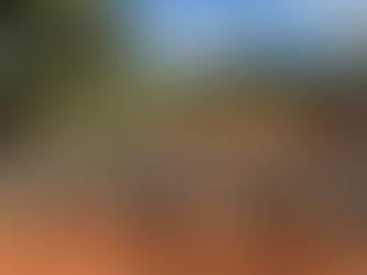 Ponte dos Machados tem previsão de entrega para o final de agosto