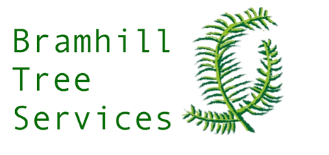 Screenshot 2022-02-19 at 13.31_edited.png