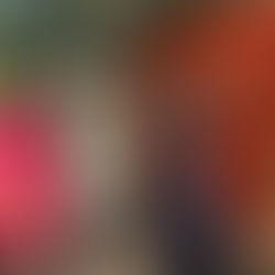 Cruzamento do Botânico