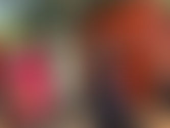 Cruzamento do Botânico