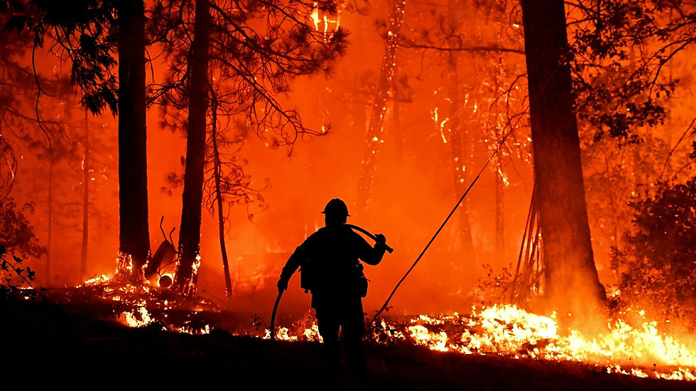 Ações de prevenção a incêndios