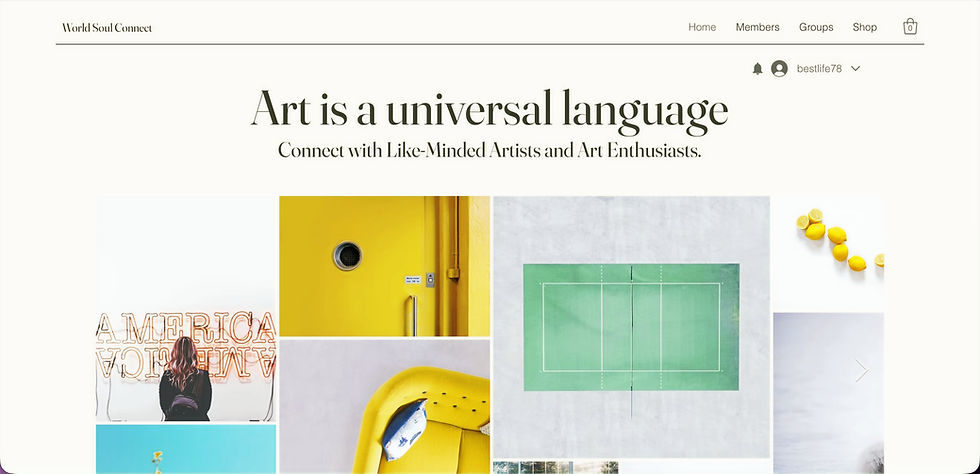 World Soul Connect Home Page