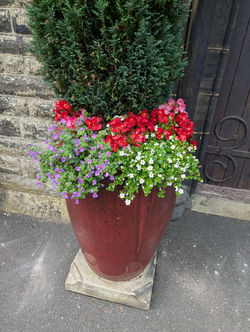 PXL_20250706_164820196.MP