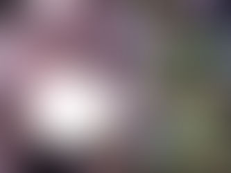 ユアン！YESクリスマスパーティ！ヴィーカとアーティストのWコスプレで決まり！