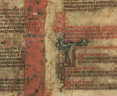 Manuscritto del Picatrix.jpg