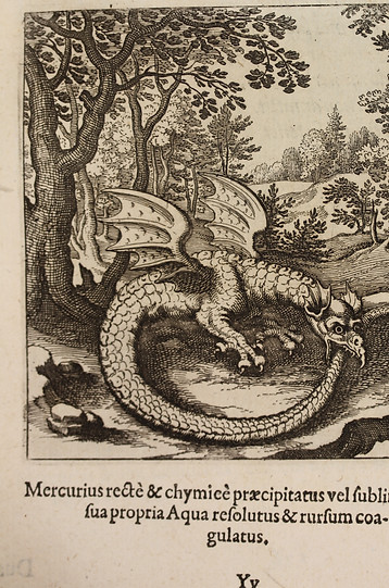 Musaeum Hermeticum Drago.jpg