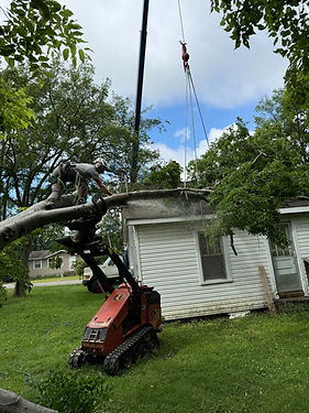 advanced equipment for safe tree removal.jpg