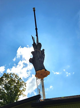 image000000 3_edited.jpg